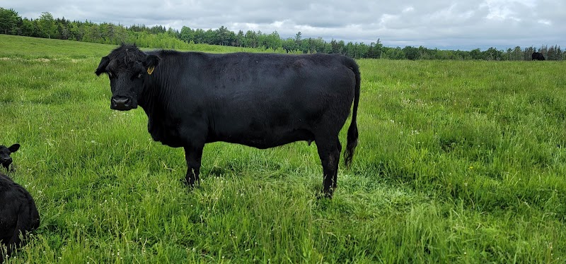 Local Farms in New Brunswick | FindaFarmer