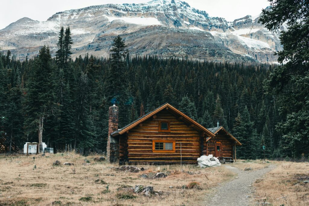 pexels-lureofadventure-18870105