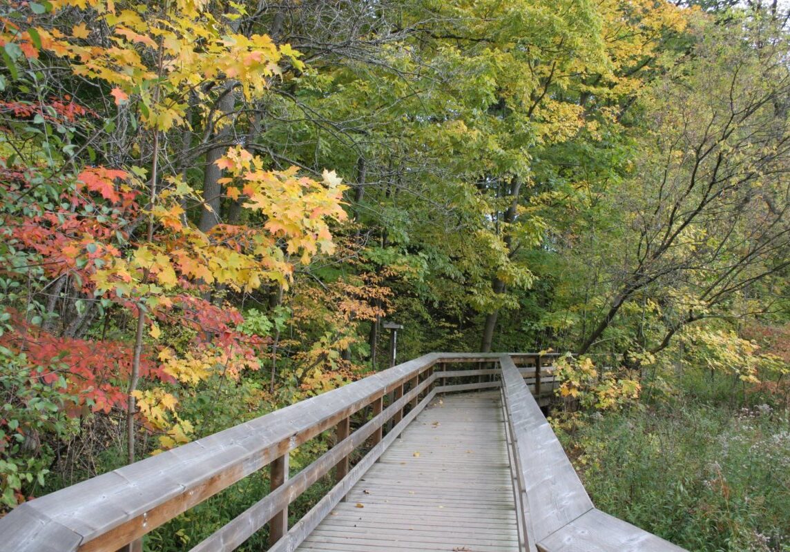 Riverwood-Conservancy.jpg